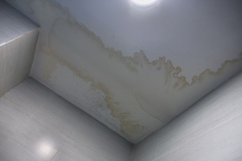 Ceiling Drywall Repair